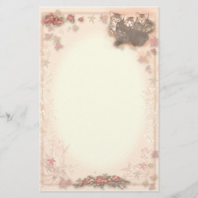 Kätzchen Briefpapier (Vorderseite)