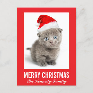 Kätzchen, das eine Weihnachtsmannmütze trägt Feiertagspostkarte