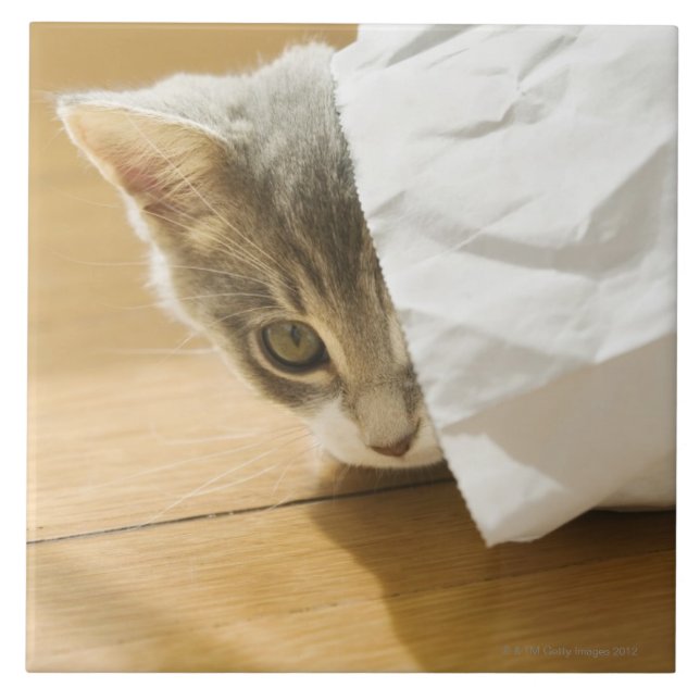 Kätzchen, das in der Papiertüte sich versteckt Fliese (Vorderseite)