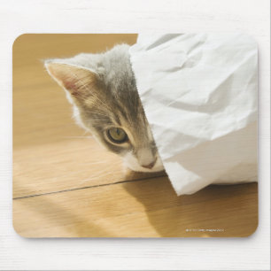 Kätzchen, das in der Papiertüte sich versteckt Mousepad