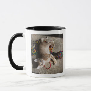 Kätzchen, das mit Garn spielt Tasse