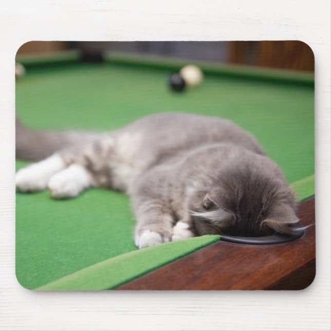 Kätzchen, das Pool spielt Mousepad (Vorne)
