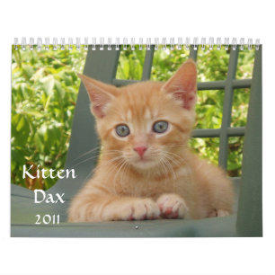 Kätzchen Dax 2011 Kalender