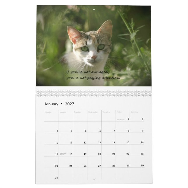 Kätzchen der Gewissenhaftigkeit Kalender (Jan 2027)