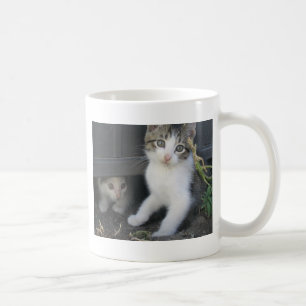 Kätzchen, die auf der Bauernhof-Tasse spielen Tasse