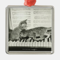 Kätzchen, die das Klavier spielen