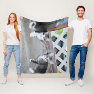 Kätzchen Fleecedecke