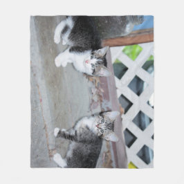 Kätzchen Fleecedecke