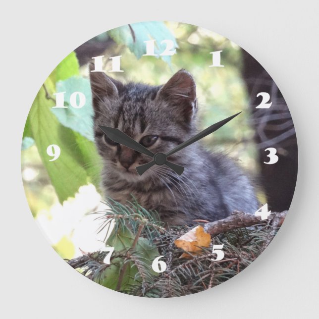 Kätzchen-Foto-Baby-Katzen-Wand-Uhr Große Wanduhr (Vorderseite)