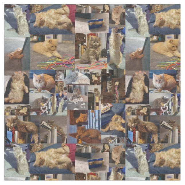 Kätzchen-Foto-Collage, Stoff (Nahaufnahme)