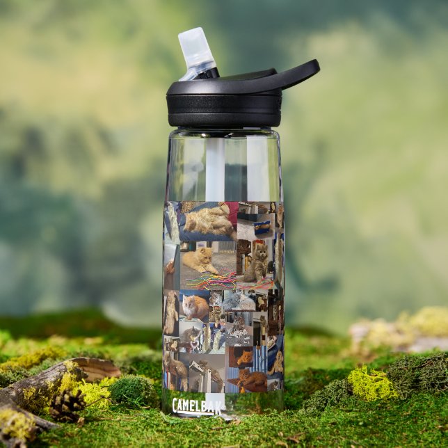Kätzchen-Foto-Collage,  Trinkflasche (Außenbereich)