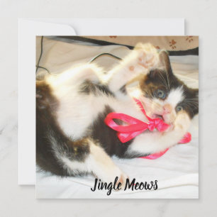 Kätzchen-Foto-Text-Jingle-Miauen, Anpassen, Feiertagskarte