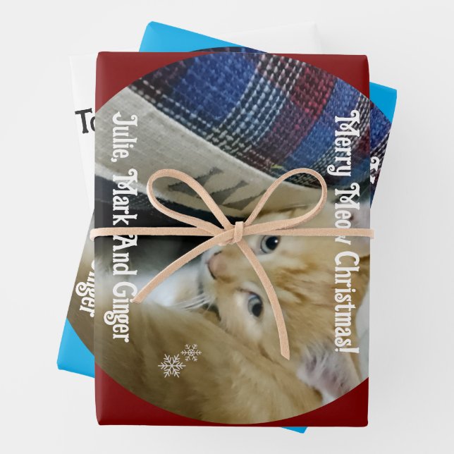 Kätzchen-Foto-Text-Name, ersetzen,  Geschenkpapier Set (Beispiel)