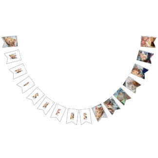 Kätzchen-Foto Wimpelkette