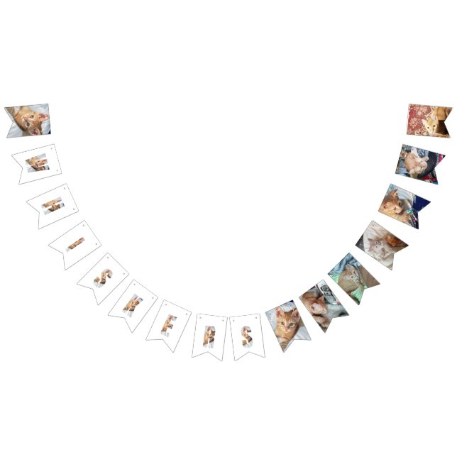 Kätzchen-Foto  Wimpelkette (Alle)