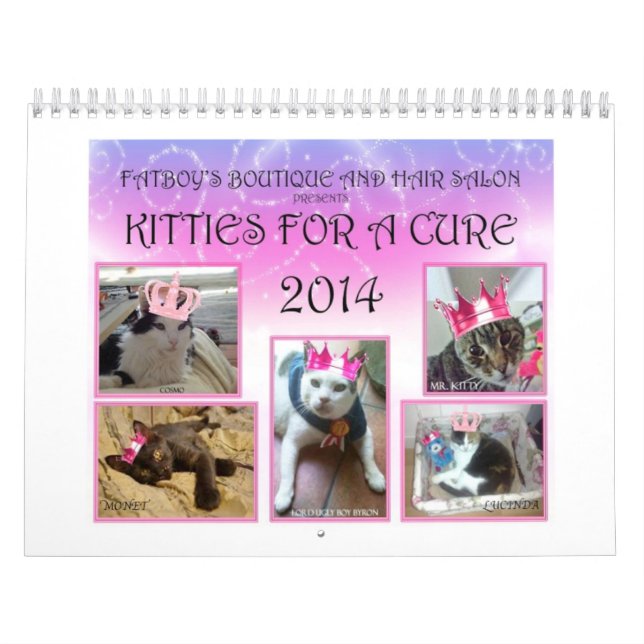 KÄTZCHEN FÜR EINEN HEILUNGS-KALENDER 1 2014 KALENDER (Titelbild)