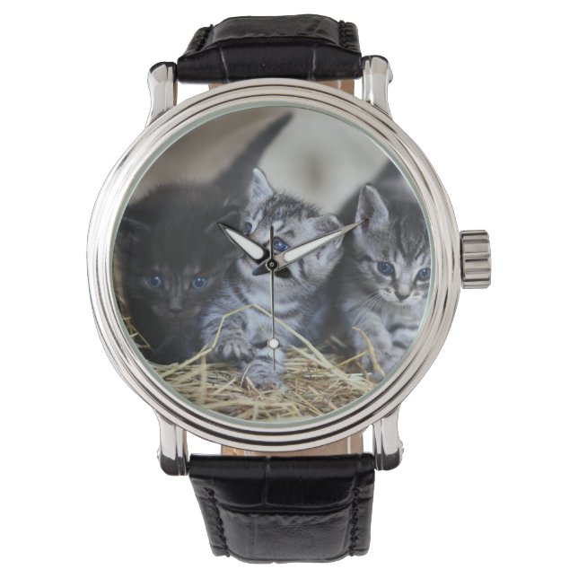Kätzchen, Haustiere, Felsen Armbanduhr (Vorderseite)