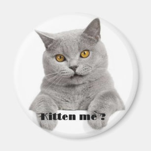 Kätzchen ich? magnet