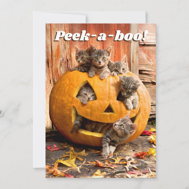 Kätzchen im Jack-o-Lantern Einladung (Vorderseite)