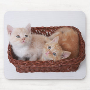 Kätzchen im Korb Mousepad