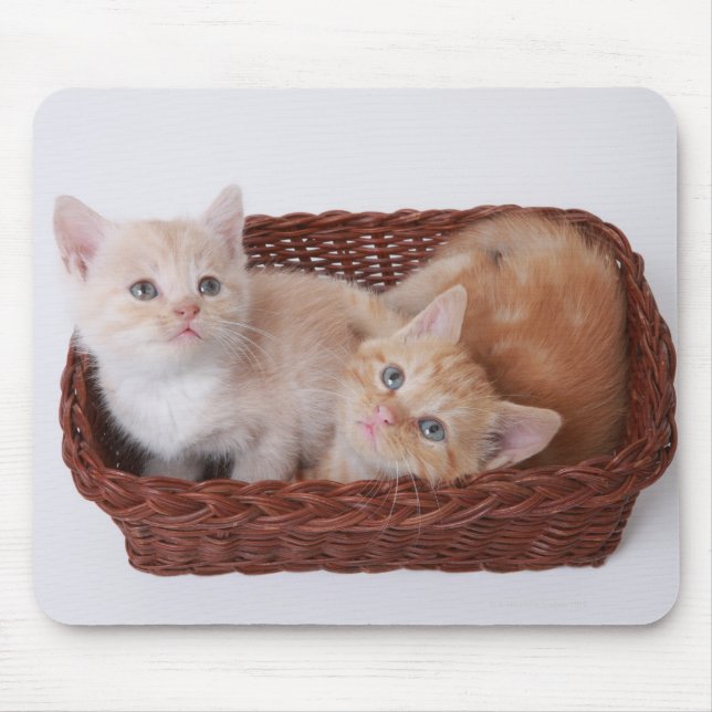 Kätzchen im Korb Mousepad (Vorne)