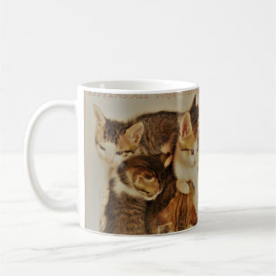 Kätzchen im Originalfoto Kaffeetasse