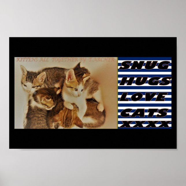 Kätzchen im Originalfoto Poster (Vorne)