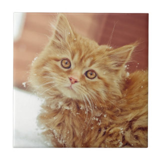 Kätzchen im Schnee Fliese