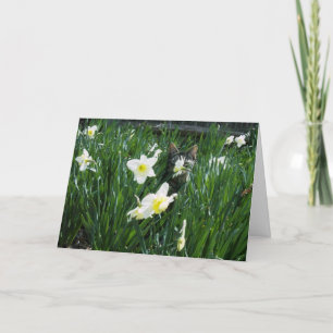KÄTZCHEN IN DEN BLUMEN FEIERTAGSKARTE