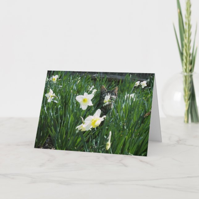 KÄTZCHEN IN DEN BLUMEN FEIERTAGSKARTE (Vorderseite)