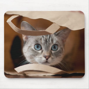 Kätzchen in der Einkaufstüte Mousepad