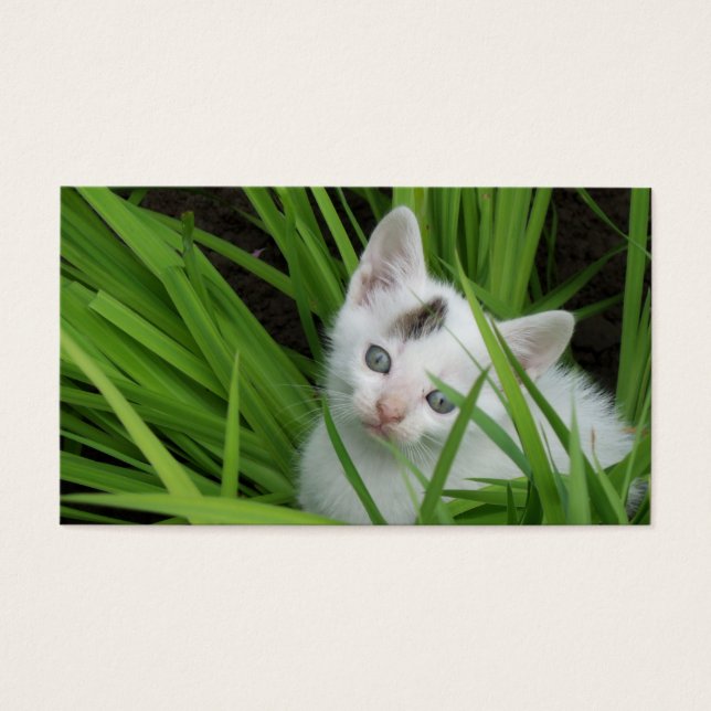 Kätzchen in der Grass Business Card (Vorderseite)