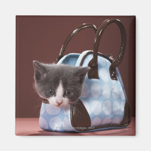 Kätzchen in der Handtasche Magnet