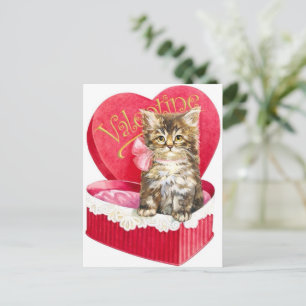 Kätzchen in der Süßigkeiten-Box Postkarte