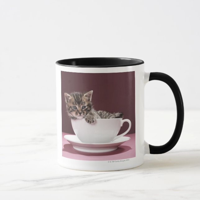 Kätzchen in der Tasse und Untertasse (Rechts)