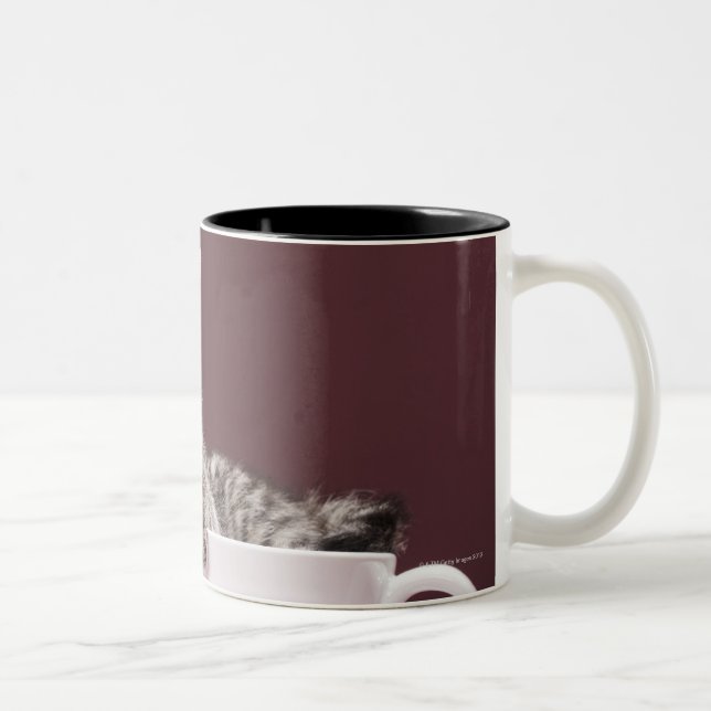 Kätzchen in der Tasse und Untertasse (Rechts)