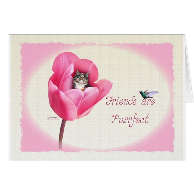 Kätzchen in der Tulpe (Vorderseite (Horizontal))