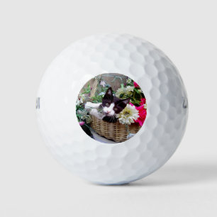 Kätzchen in einem Korb Golfball