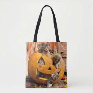 Kätzchen in Jack-o-Lantern