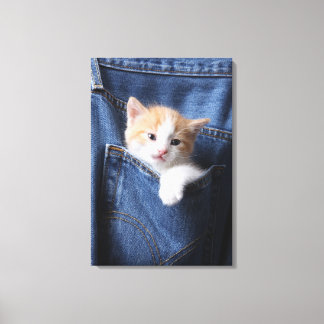 Kätzchen in Jeans-Tasche Leinwanddruck