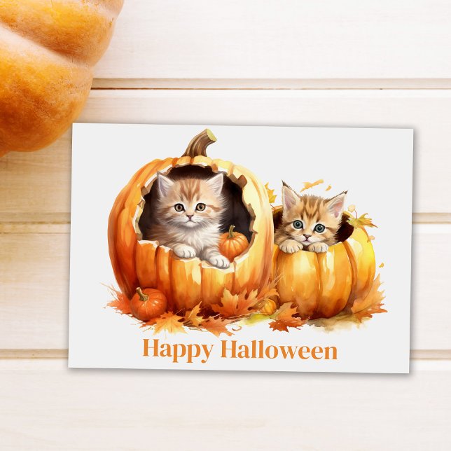 Kätzchen in Pumpkins Halloween Postkarte (Cute Kitten in Pumpkin Halloween Postcard on white table next to a pumpkin)