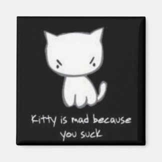 Kätzchen ist verrückt magnet