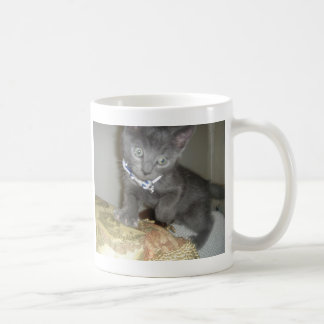 Kätzchen Kaffeetasse