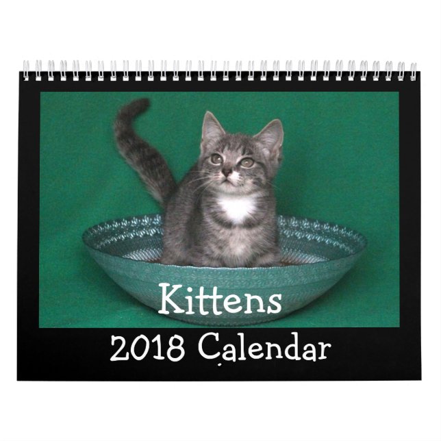 Kätzchen-Kalender 2018 Kalender (Titelbild)