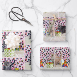 Kätzchen! (Katzen) Buffington und Patton's Geburts Geschenkpapier Set