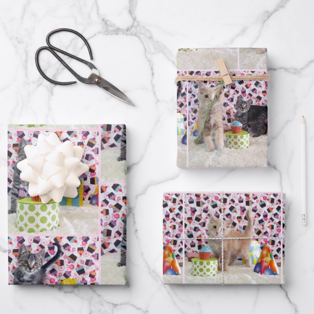 Kätzchen! (Katzen) Buffington und Patton's Geburts Geschenkpapier Set (Vorderseite)