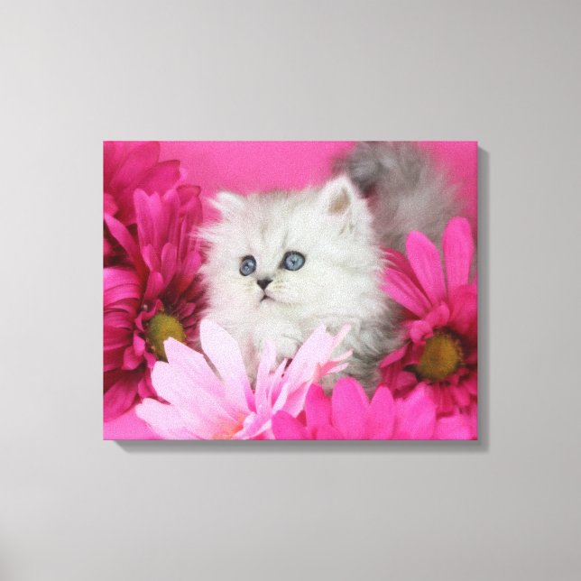 Kätzchen, Katzen, Rosa, Polka-Punkte Leinwanddruck (Vorderseite)