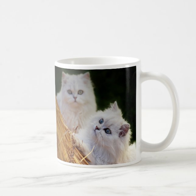 Kätzchen kommen spielen tasse (Rechts)