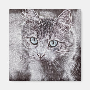 Kätzchen Liebe Niedliche Katzenkatze mit leuchtend Magnet