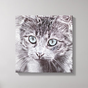 Kätzchen Liebe Süße Katze Mit Leuchtend Blauen Aug Leinwanddruck